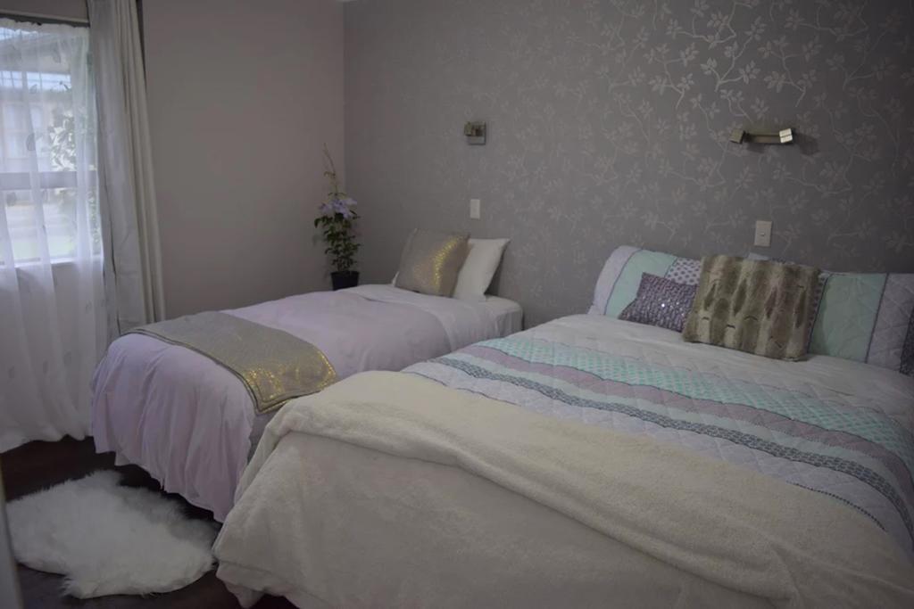 Kea Apartments Nelson Bagian luar foto